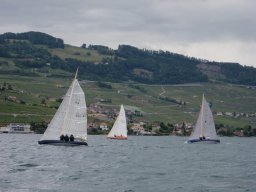36e Coupe d&#039;Avant et d&#039;Argent 2009